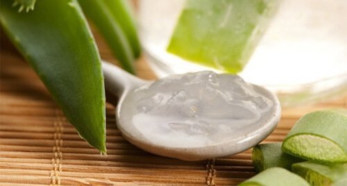 アロエベラ 薄毛 効果的 家庭療法