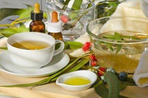 ユーカリの葉のお茶