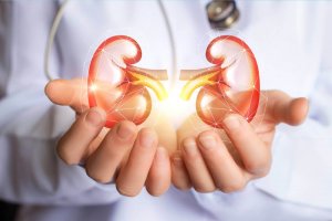腎臓の浄化に高い効果を発揮するデトックス法