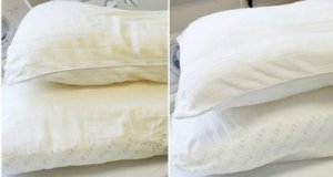 枕の洗濯と消毒方法