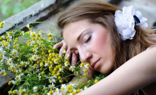 安眠効果が期待できるアロマオイル8選