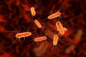 腸管感染症のための3つの自然療法