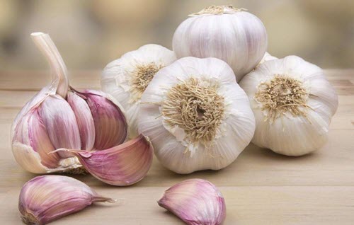 ニンニク