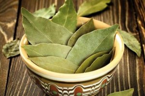 糖尿病に役立つベイリーフの活用法