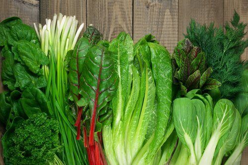 葉野菜