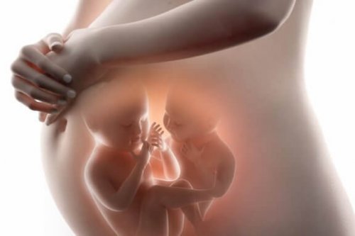 一卵性双生児と二卵性双生児の違いを知ってる?