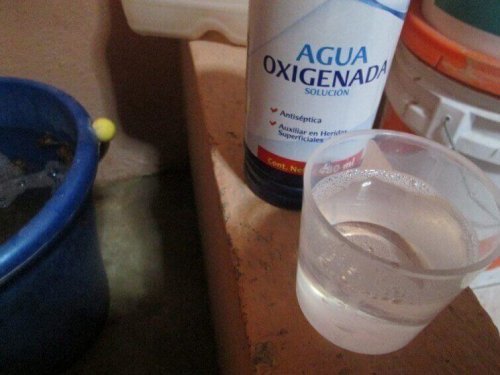 過酸化水素