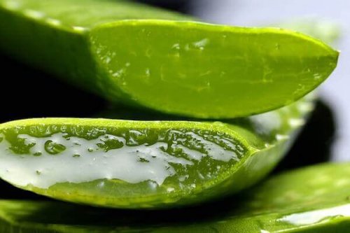 アロエベラ 爪乾癬に効く5つの自然療法