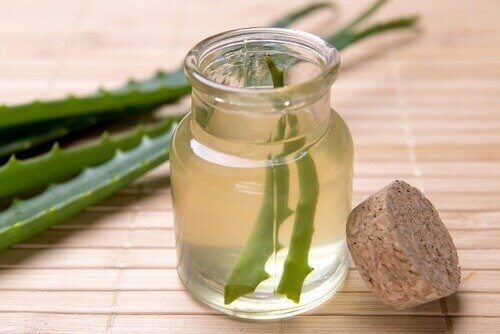 消化不良に効果的なアロエベラ