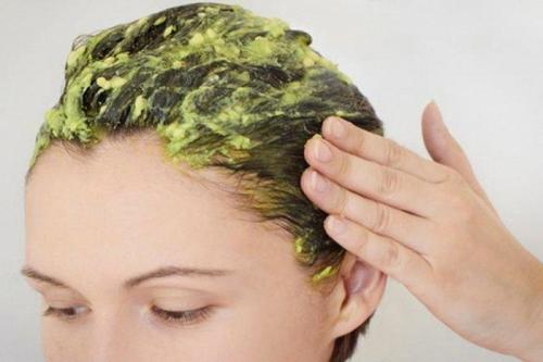 ヘアマスク 縮れ毛を防ぐ5つのヘアマスク