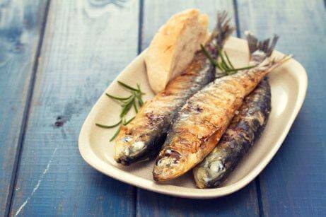 魚