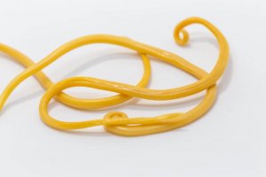 「赤たまねぎ」を使って腸内寄生虫を取り除こう!