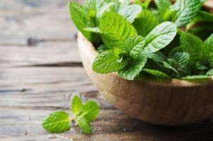 口臭対策に!ミントを使った3つの自然療法