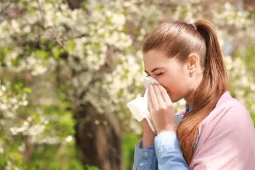 アレルギーの緩和に役立つ４つのハーブ療法とは？