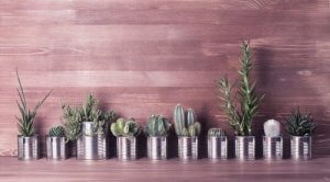 アルミ缶を使った3つのおしゃれアイデア