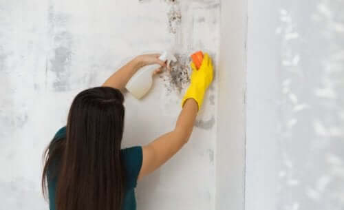 壁の掃除をする女性