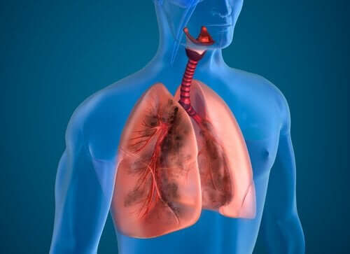 肺の機能を助けるかもしれない食べ物