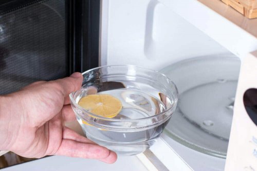 天然素材でコンロと電子レンジを綺麗にする方法