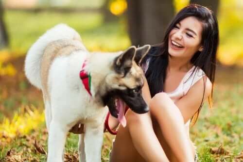 犬と女性
