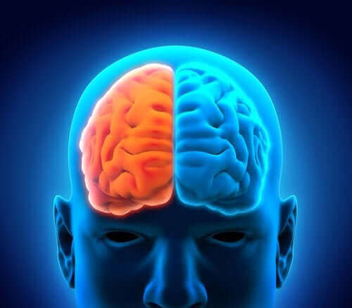 大脳半球切除術および術後の期間について