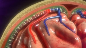 輸液ポンプ:患者のケアとその用途