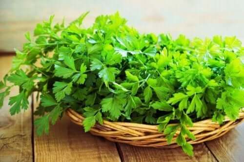 筋肉量を増やすのに役立つパセリ 筋肉量 増加 野菜