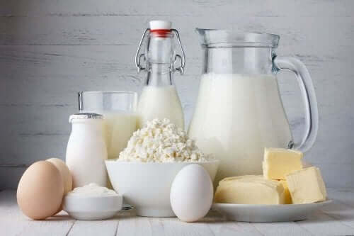 食事から肉類を排除する場合に役立つ乳製品
