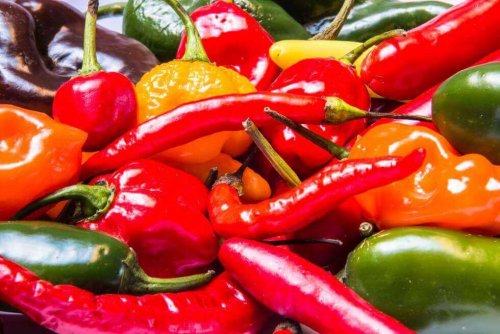 辛い食べ物 過活動膀胱