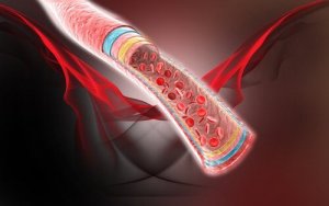 血流を良くする自然療法4つ