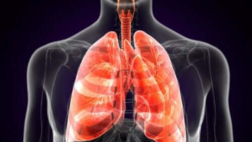 肺ペストについて知っていますか？