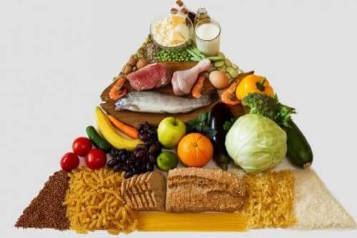 食品ピラミッド　食品栄養表示