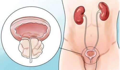 最新のセックストレンドピーガズム：危険なオーガズム　腎臓