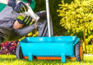 家庭で準備できる肥料で植物に栄養を!