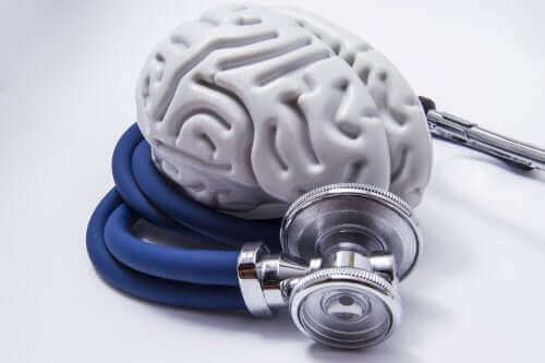脳の模型と聴診器