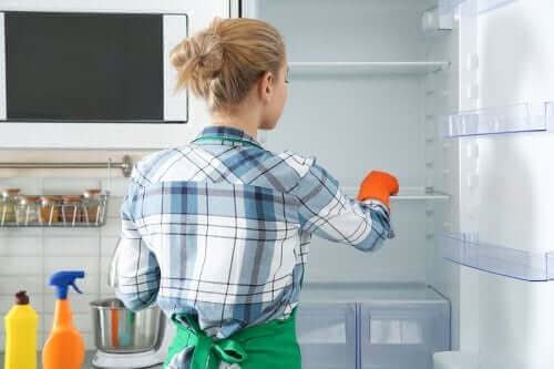 冷蔵庫の掃除と消毒をする環境に優しい方法