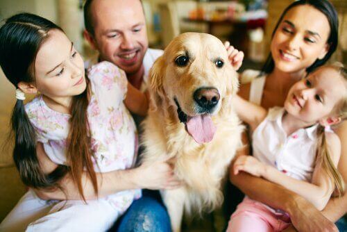 子供がペットの死を乗り越えるのをサポートする方法 ペットは家族の一員