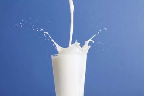 牛乳と低脂肪牛乳：どちらがいいの？