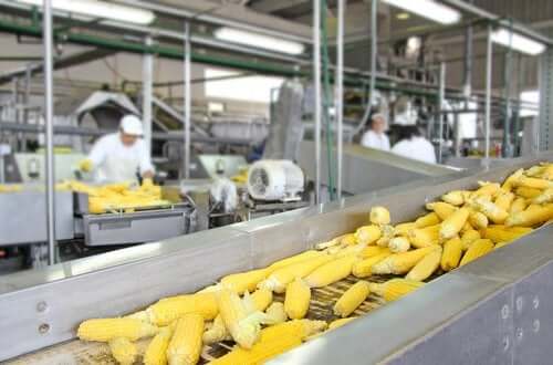 食品の加工方法が栄養価に与える影響