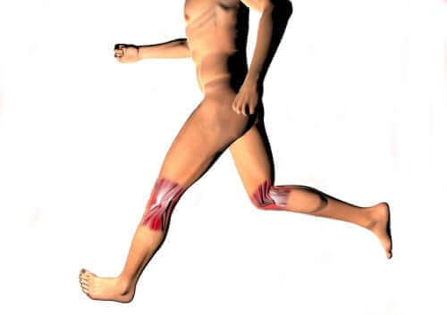 関節の健康を守ろう！滑膜関節とその特徴について　股関節