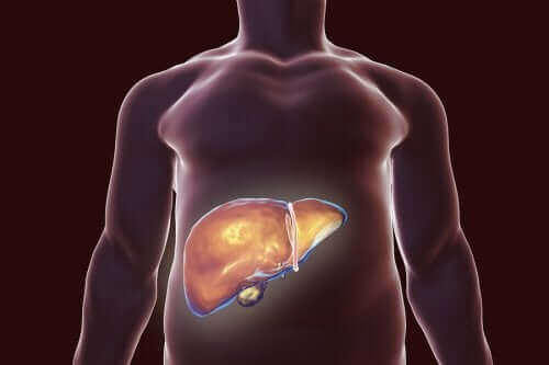 胆嚢に優しい食生活のススメ