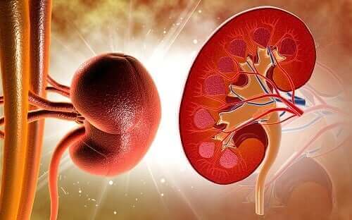 腎結核：さまざまな診断法と治療法　腎臓への影響