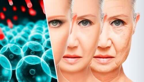 老化はいつ始まる 廊下のサイン