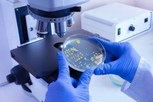 ウイルスと細菌の違いを知っていますか?