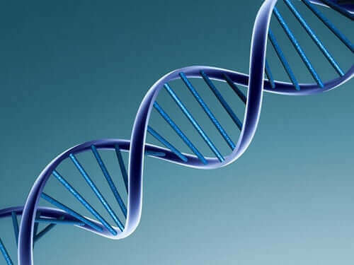 ウイルスはどのように変化するのか？　DNA