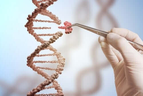 遺伝子の突然変異 DNA