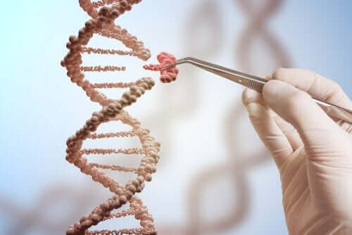 遺伝子の突然変異　DNA