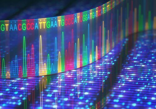 遺伝子の突然変異 どこで発生