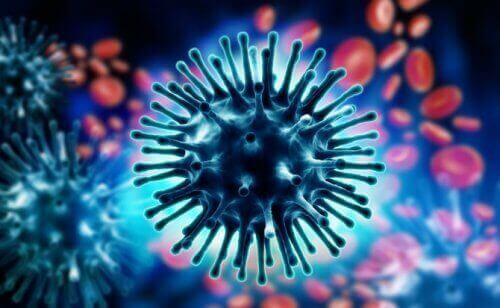 最新の研究が示唆する2つの新型コロナウイルス株　ウイルス