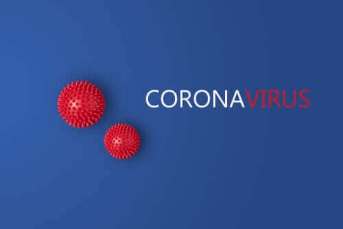 最新の研究が示唆する2つの新型コロナウイルス株