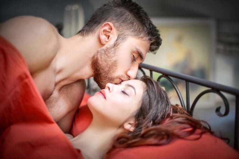 セックスとプチモルト